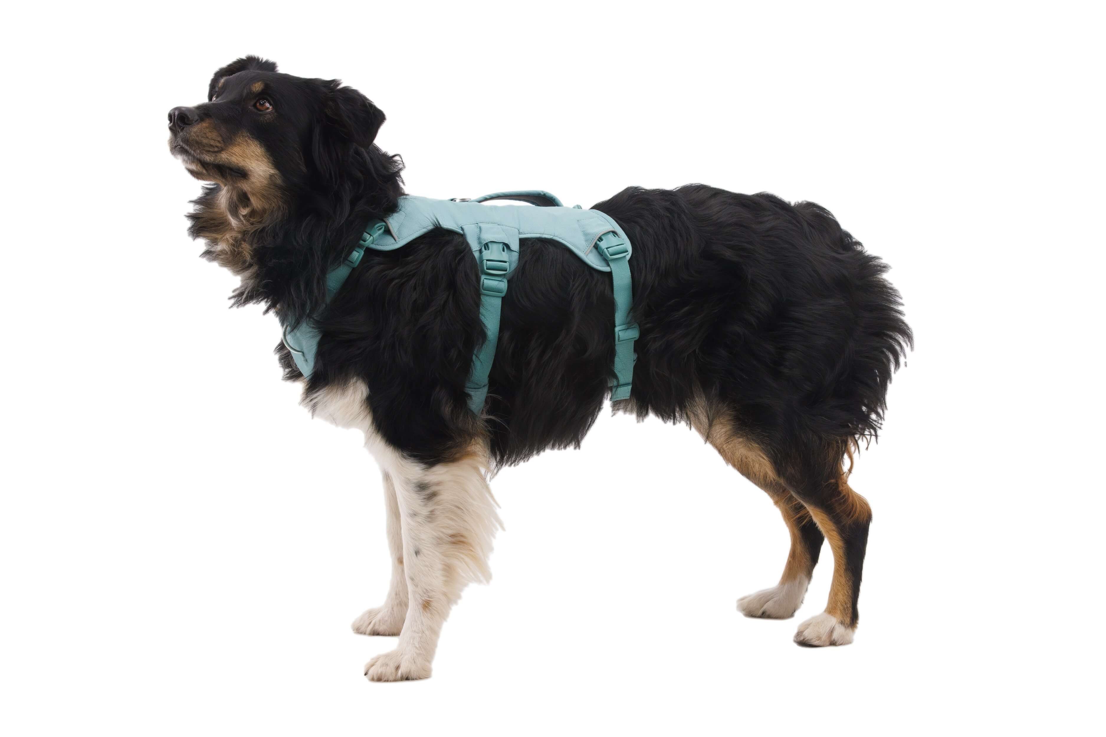 Ruffwear Hunde-Geschirr Web Master Harness