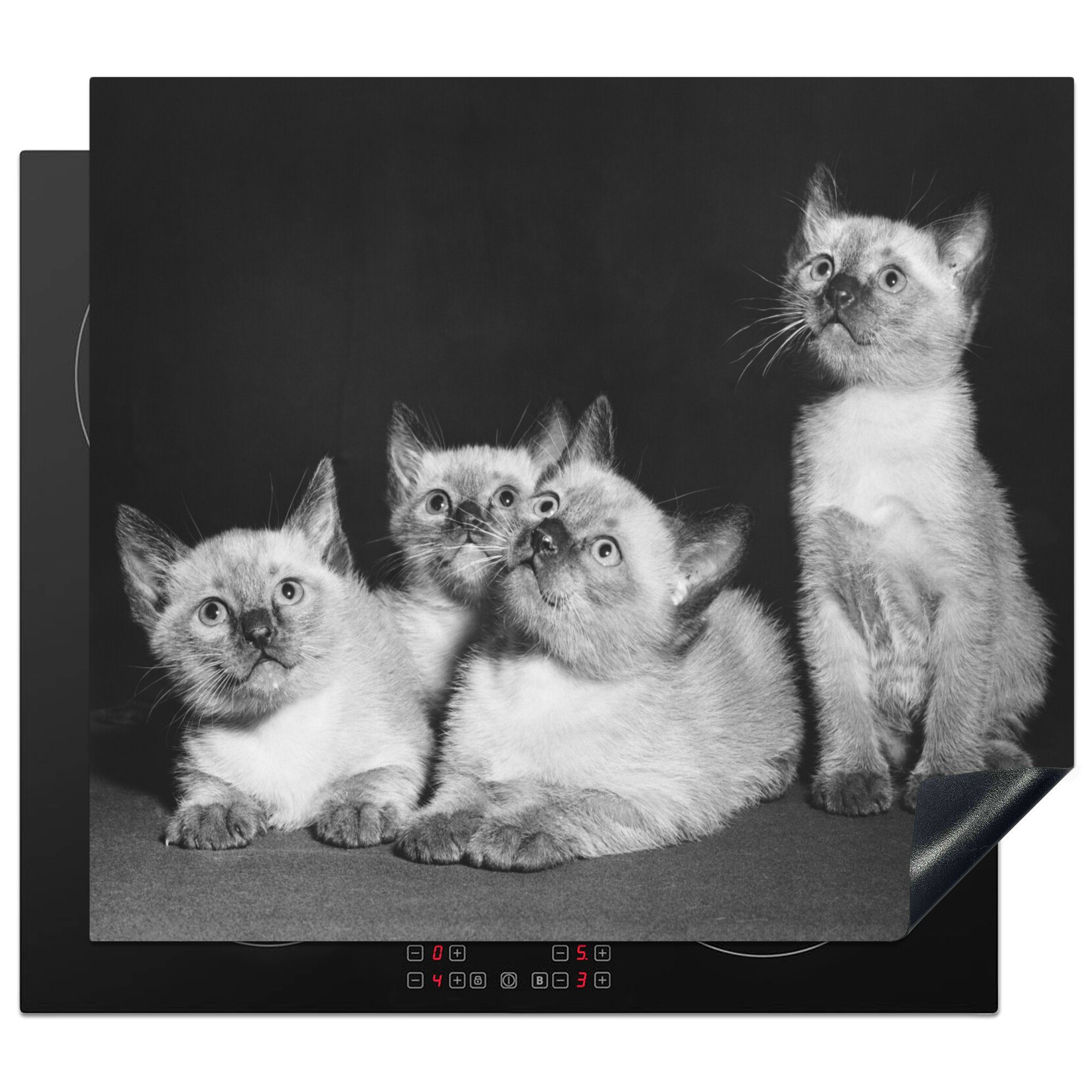 MuchoWow Herdblende-/Abdeckplatte Vier neugierige Kätzchen, Vinyl, (1 tlg), 59x52 cm, Ceranfeldabdeckung für die küche, Induktionsmatte | Herdabdeckplatten