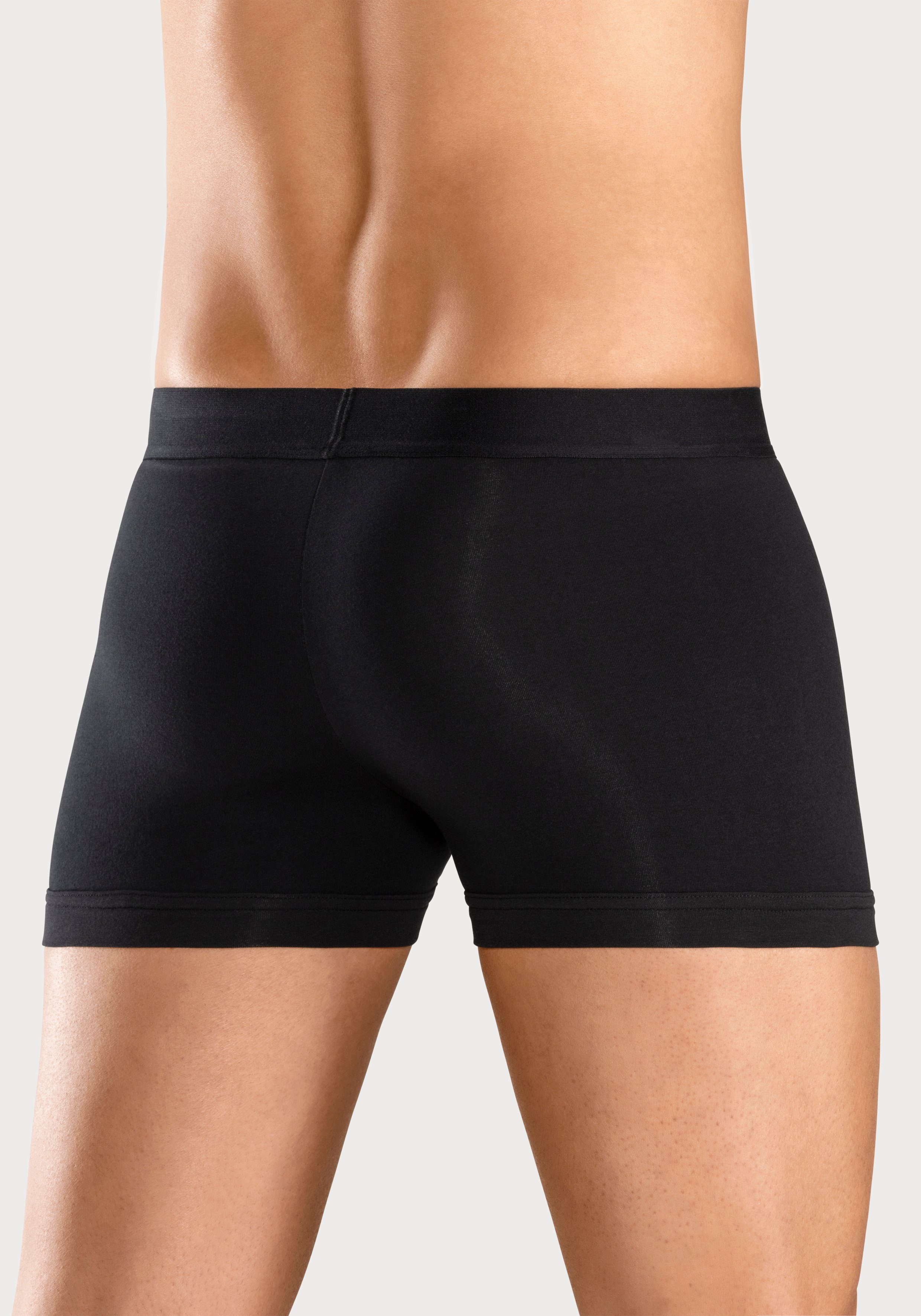 Bruno Banani Boxer Boxershorts für Herren (Packung, 5-St) mit Streifen Logo Webbund