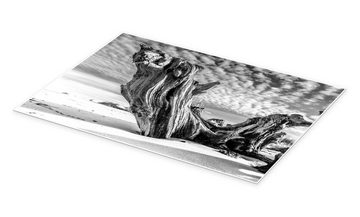 Posterlounge Poster Sascha Kilmer, Ostseestrand mit alter Baumwurzel (schwarz weiß), Badezimmer Maritim Fotografie
