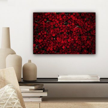 OneMillionCanvasses® Leinwandbild Blumen - Rosen - Rot, (1 St), Wandbild Leinwandbilder, Aufhängefertig, Wanddeko, 30x20 cm