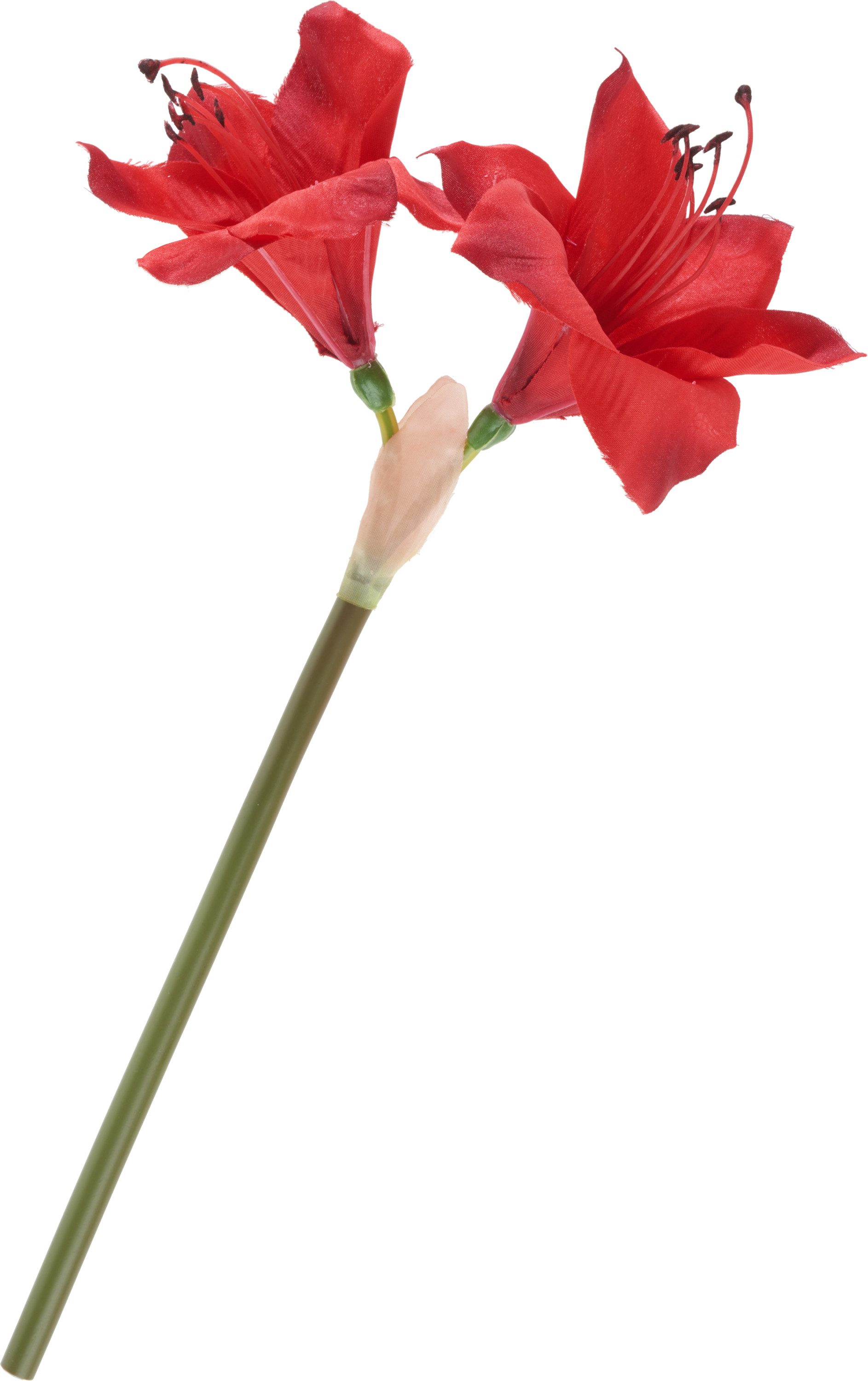 Kunstblume Amaryllis, L 37 cm, DPI, 37cm