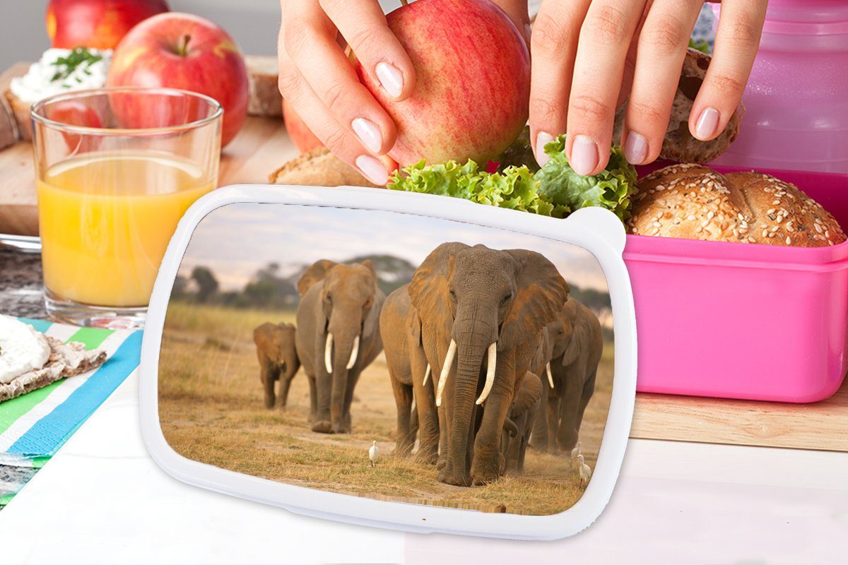 MuchoWow Lunchbox Familie der Brotbox Kunststoff Mädchen, (2-tlg), Kinder, Brotdose Erwachsene, Kunststoff, Snackbox, für Elefanten, rosa