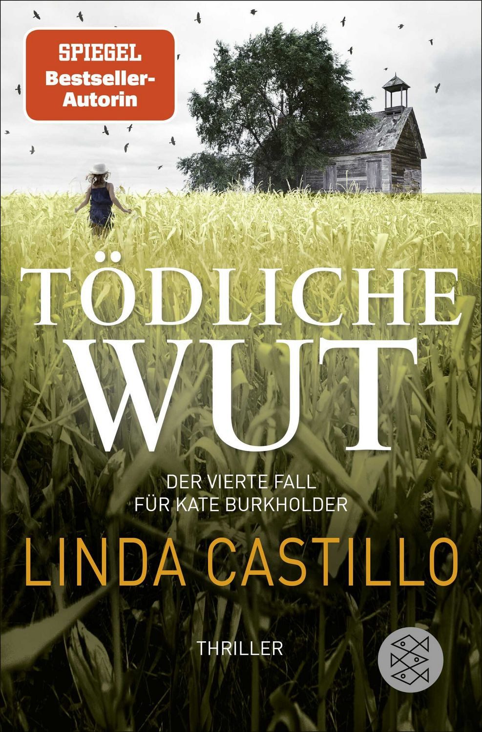 Tödliche Wut / Kate Burkholder Band 4 / Linda Castillo, Thriller, Spannender Thriller bei den Amischen