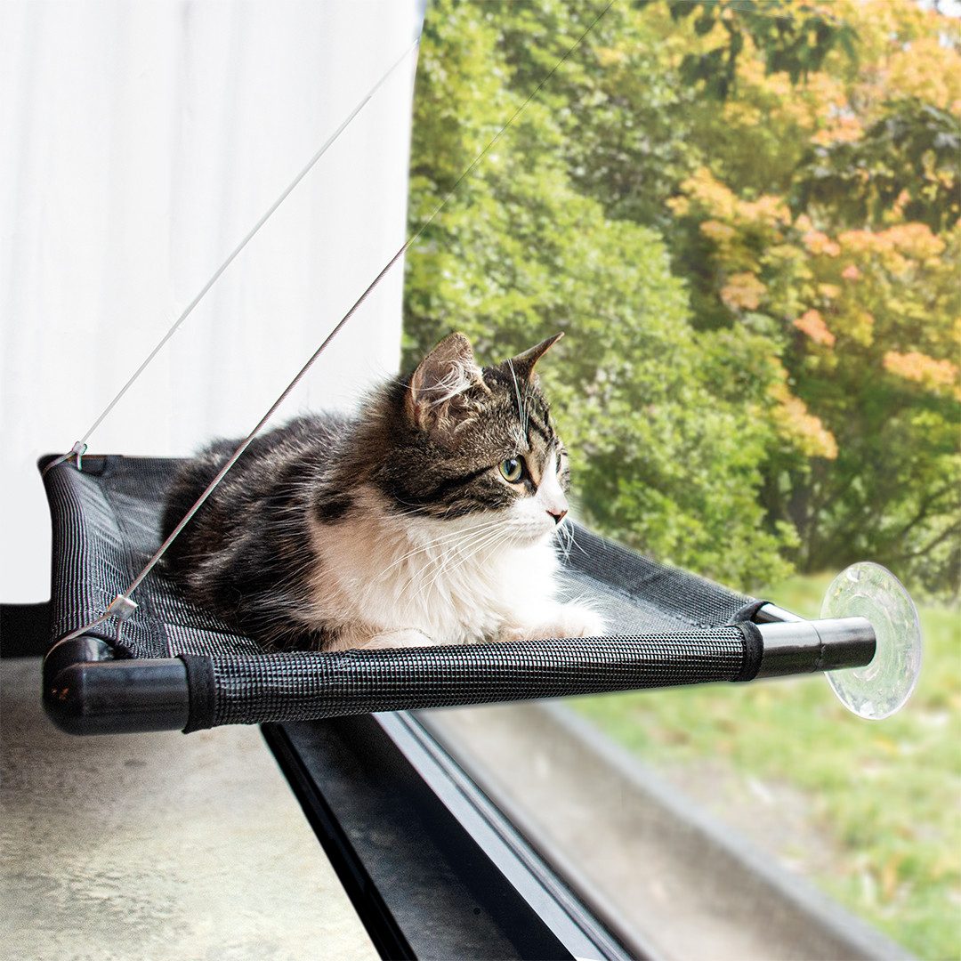 DUVO+ Katzenliege Duvoplus Fensterhängematte - schwarz