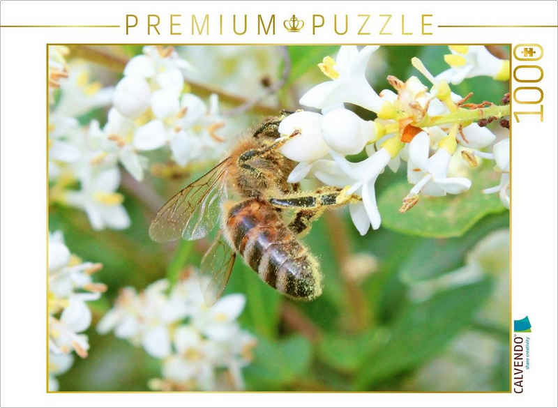 CALVENDO Puzzle CALVENDO Puzzle Honig-Biene ist über und über mit Blütenstaub bedeckt. 1000 Teile Lege-Größe 64 x 48 cm Foto-Puzzle Bild von CALVENDO Verlag, 1000 Puzzleteile