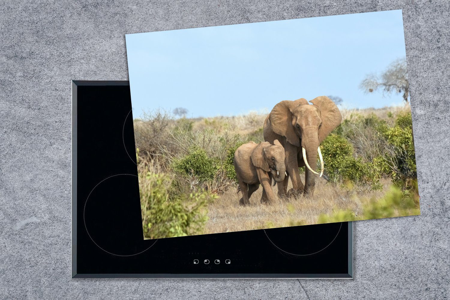 Elefant tlg), (1 Arbeitsfläche nutzbar, cm, - 70x52 MuchoWow Mobile Herdblende-/Abdeckplatte Ceranfeldabdeckung Vinyl, Baby - Natur,