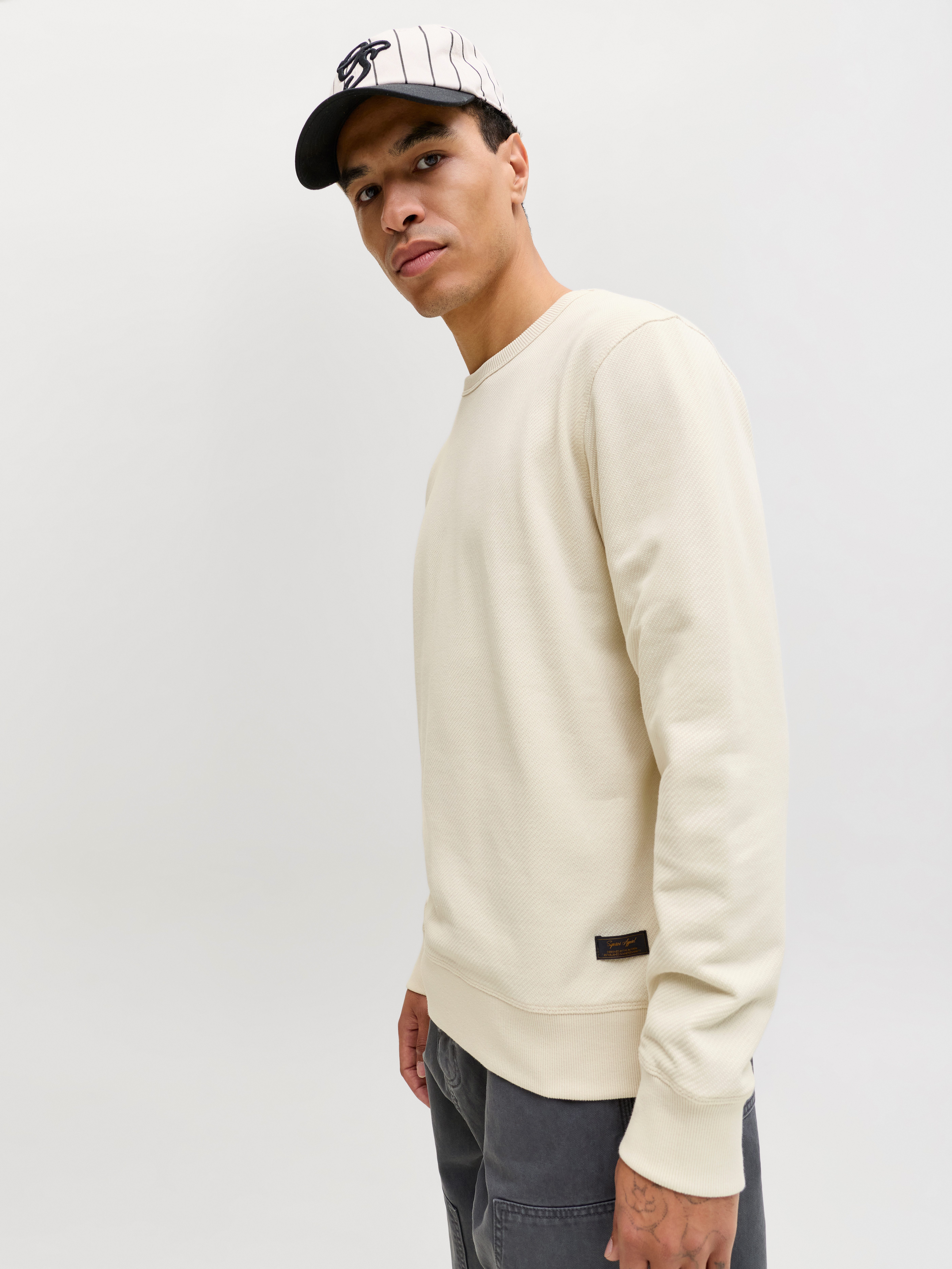 Jack & Jones Sweatshirt JJEDOVER CLASSIC SWEAT CREW NECK SN mit Markenlabel günstig online kaufen