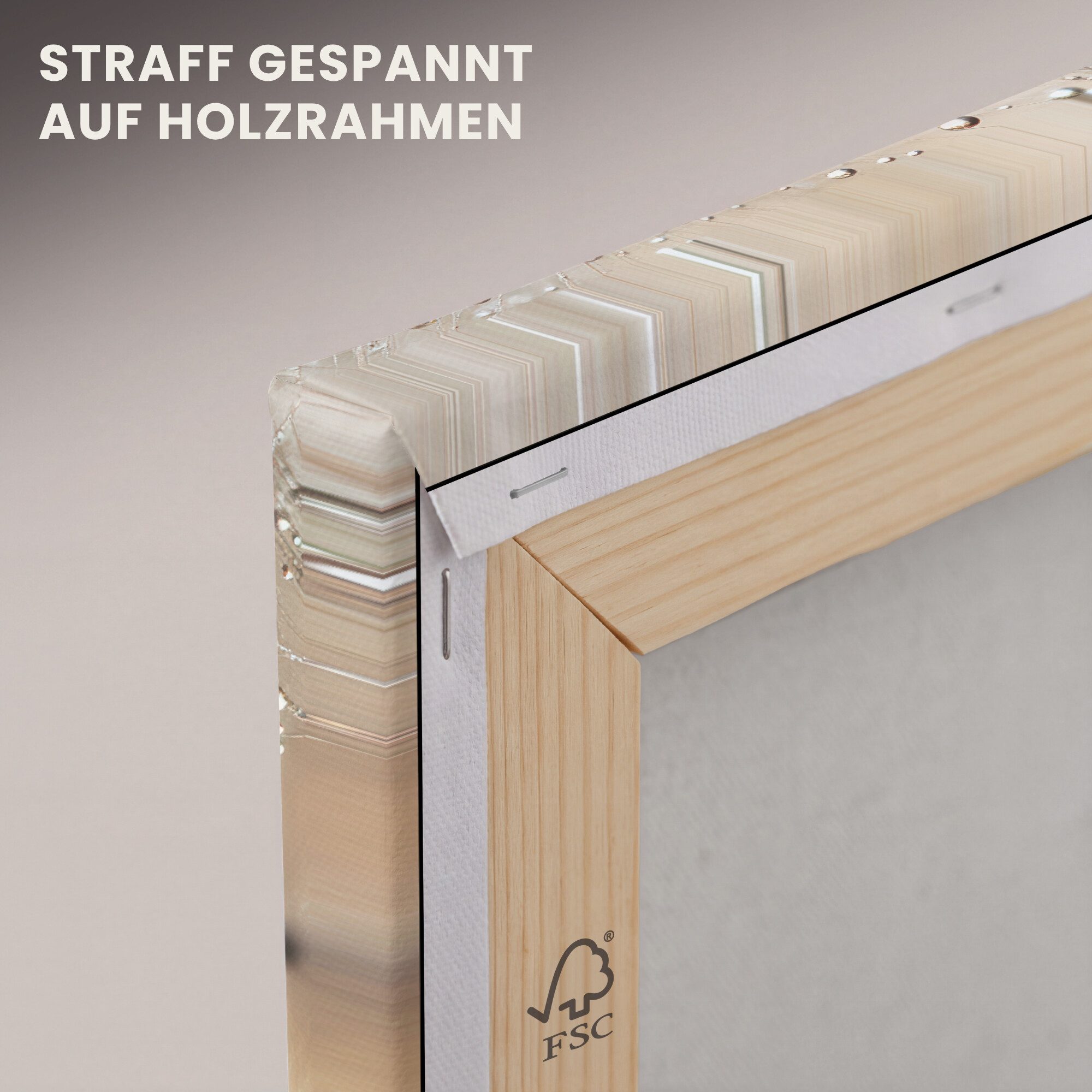 OneMillionCanvasses® Leinwandbild Löwenzahn - Abstrakt - Natur - Beige, Fotodruck (1 St), Leinwand Bilder Klein, Wand Dekoration Aesthetic 30x20 cm – Bild 5 von 5