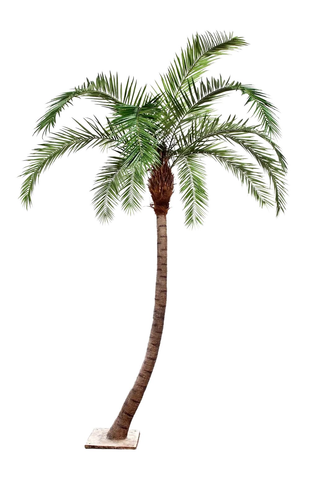 Kunstbaum Künstliche Phoenixpalme - Simon, 360 cm, aplanta