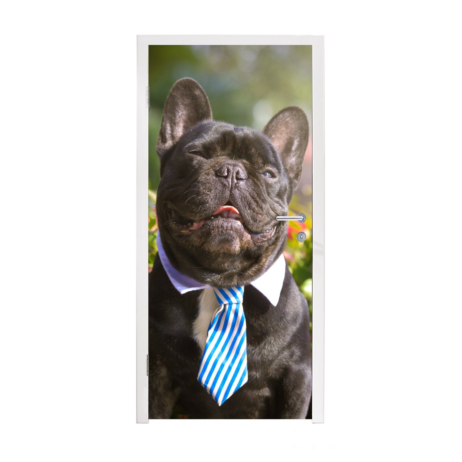 MuchoWow Türtapete Französische Bulldogge - Krawatte - Blau, Matt, bedruckt, (1 St), Fototapete für Tür, Türaufkleber, 75x205 cm
