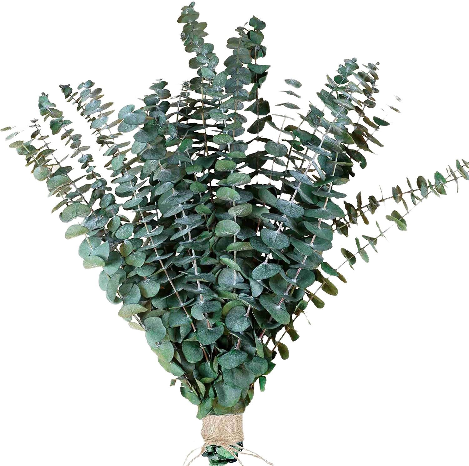 Kunstblumenstrauß Eukalyptus Getrocknet 43cm Natürliche Trockenblumen, günstig online kaufen