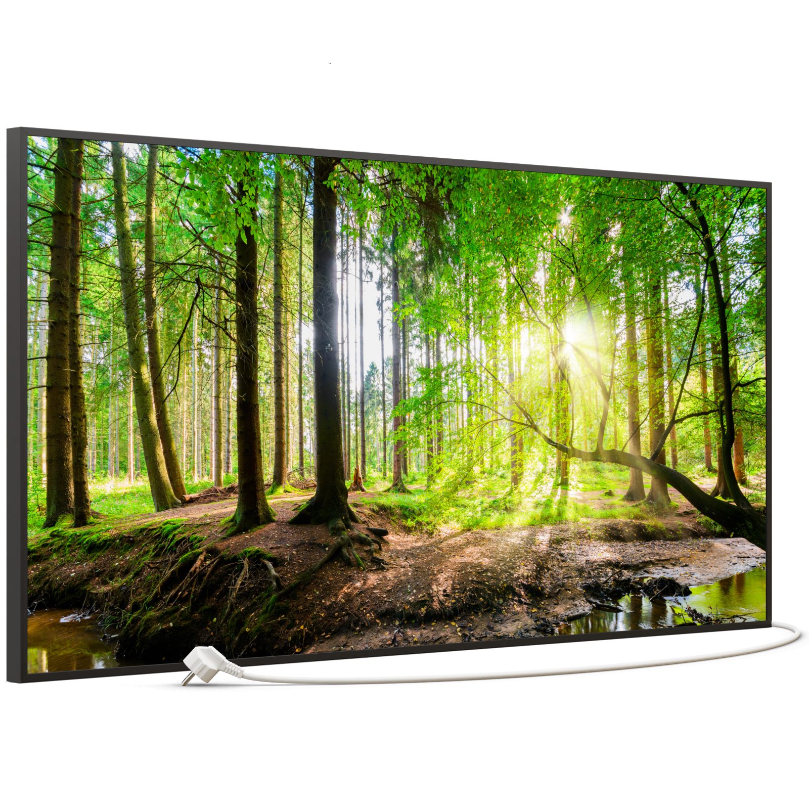 STEINFELD Heizsysteme Infrarotheizung, Bild, 750W 120x60cm, Inklusive Therm günstig online kaufen