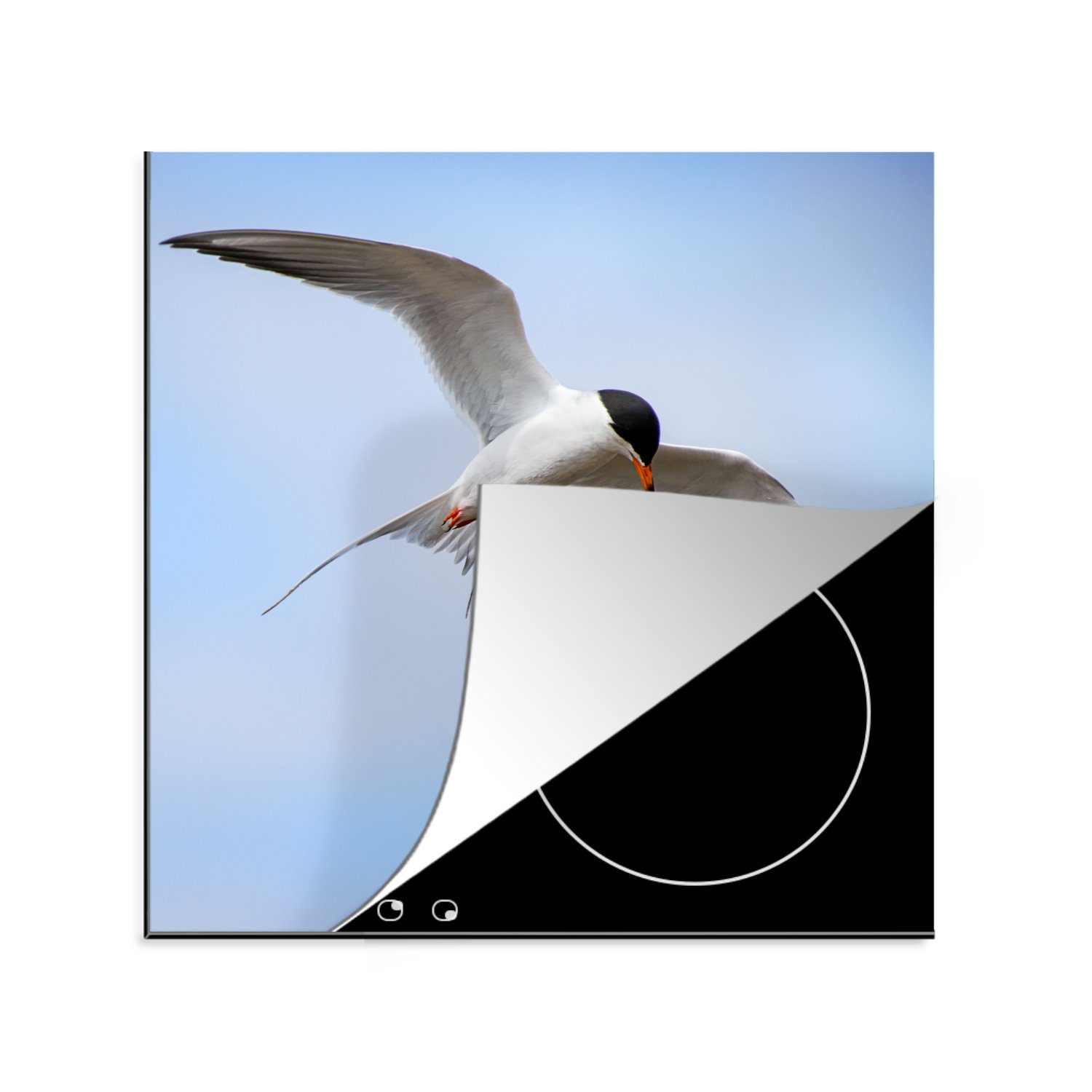 MuchoWow Herdblende-/Abdeckplatte Eine Weißflügelseeschwalbe fliegt am blauen Himmel, Vinyl, (1 tlg), 78x78 cm, Ceranfeldabdeckung, Arbeitsplatte für küche