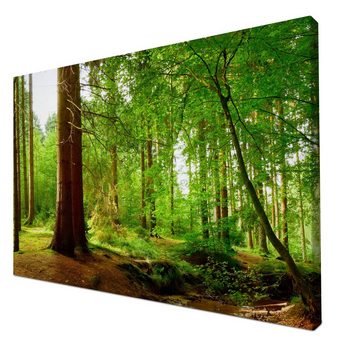 wandmotiv24 Leinwandbild Bach im Wald, Natur, Grün, Bäume, Wasser, Landschaft (1 St), Wandbild, Wanddeko, Leinwandbilder in versch. Größen