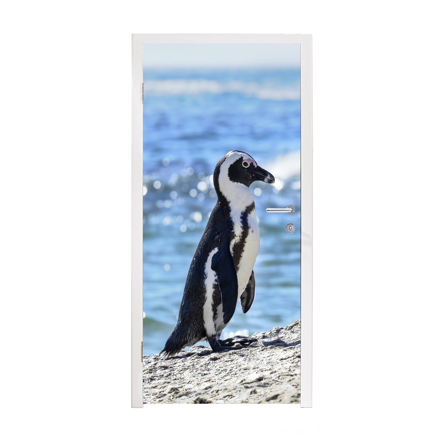 MuchoWow Türtapete Pinguin am Strand von Boulders Beach, Matt, bedruckt, (1 St), Fototapete für Tür, Türaufkleber, 75x205 cm