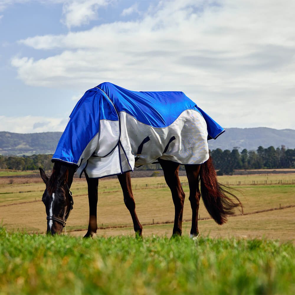 WeatherBeeta Pferde-Regendecke Weatherbeeta Comfitec Duo Shield Detach-A-Neck