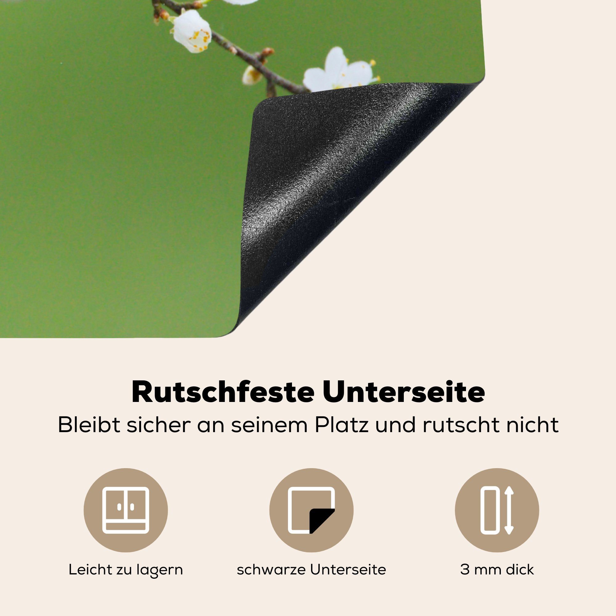 MuchoWow Herdblende-/Abdeckplatte Blaumeise Zweige - Zweig Vinyl, Vogel, (1 81x52 Ceranfeldabdeckung, - küche Blumen Arbeitsplatte tlg), - - für cm, Blühende