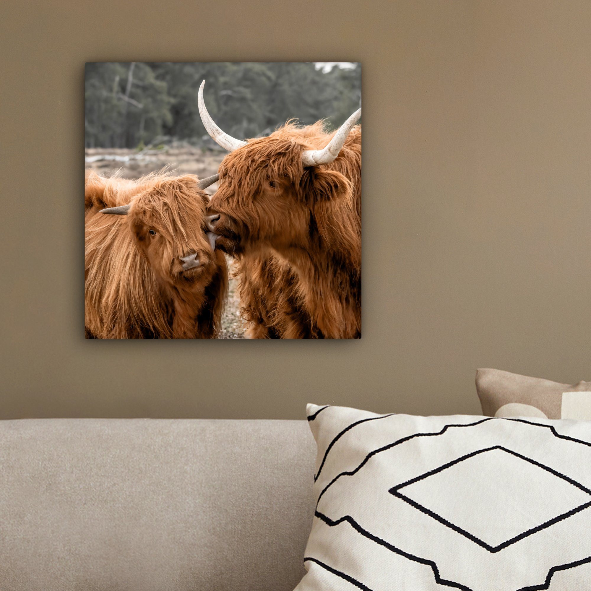 - Kuh - (1 für Wohnzimmer Leinwandbild Schlafzimmer, Highlander OneMillionCanvasses® Tiere, cm St), Schottischer 20x20 Leinwand Bilder