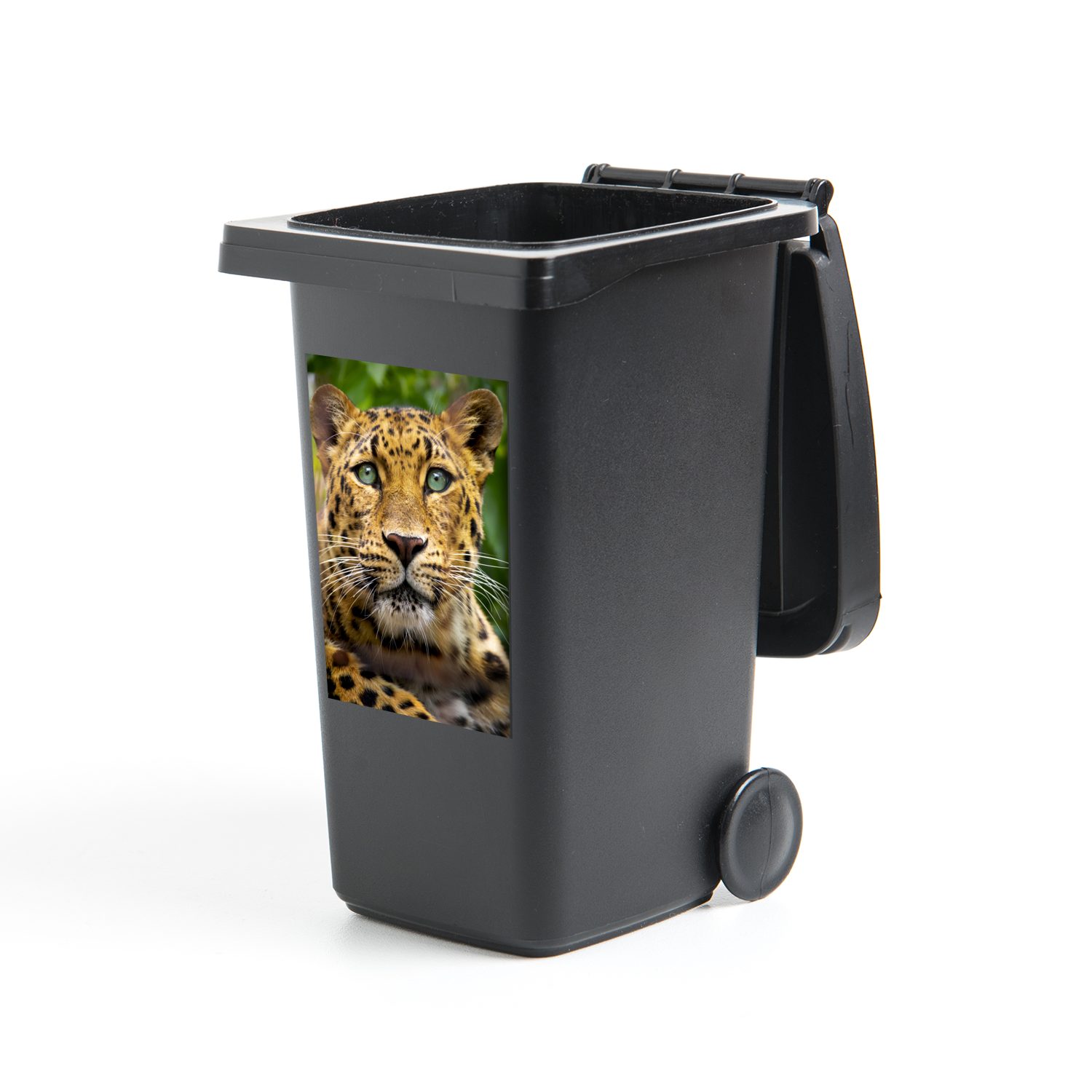 Mülleimer-aufkleber, - Container, Panther Wandsticker Grün - Mülltonne, Abfalbehälter Sticker, MuchoWow Dschungel (1 St),