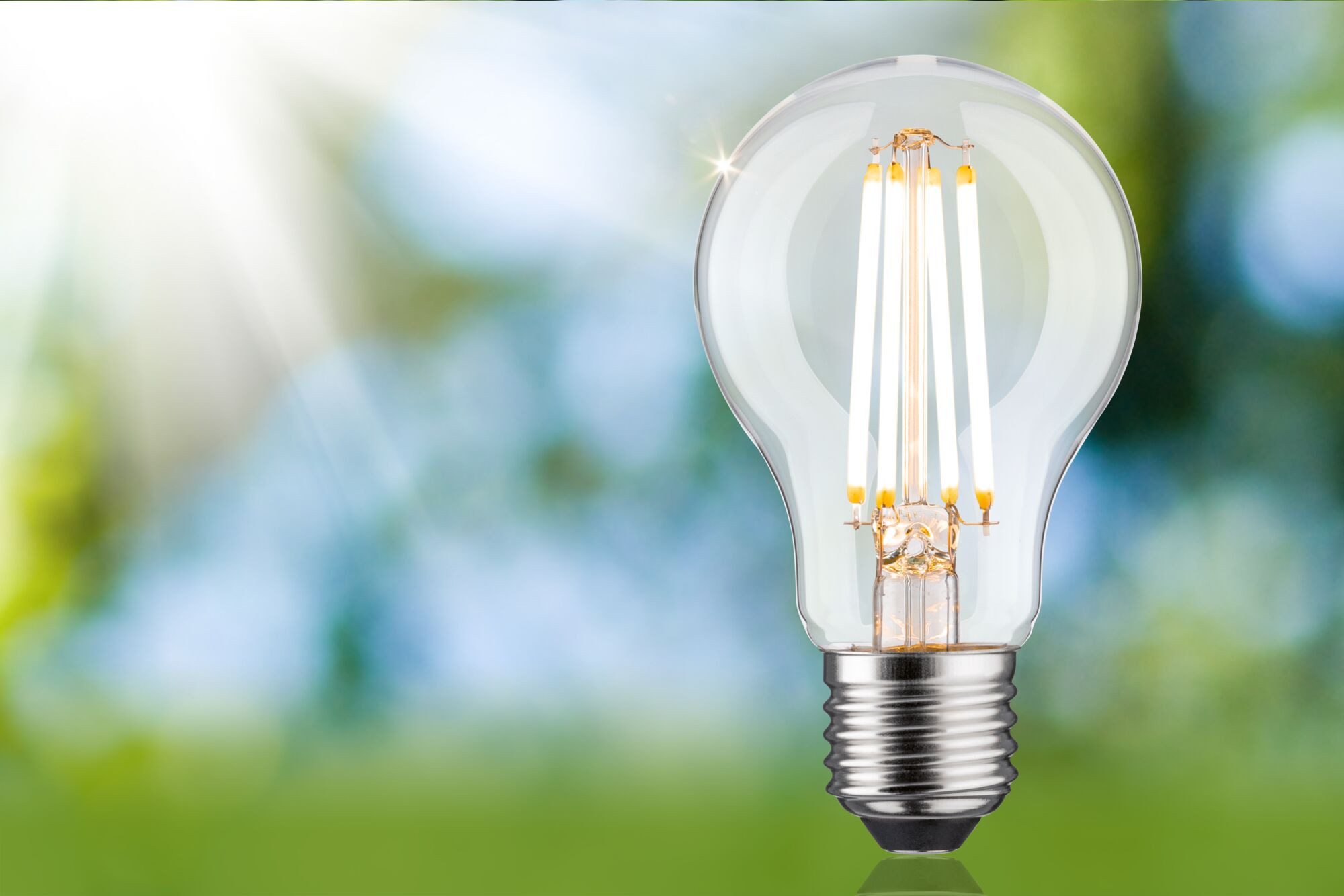 Paulmann LED-Leuchtmittel Eco-Line Filament 230V LED Birne E27 806lm 4,3W 3000K dimmbar Klar, E27, 1 St., Warmweiß