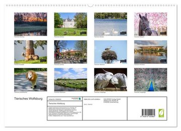 CALVENDO Wandkalender Tierisches Wolfsburg (Premium, hochwertiger DIN A2 Wandkalender 2023, Kunstdruck in Hochglanz)
