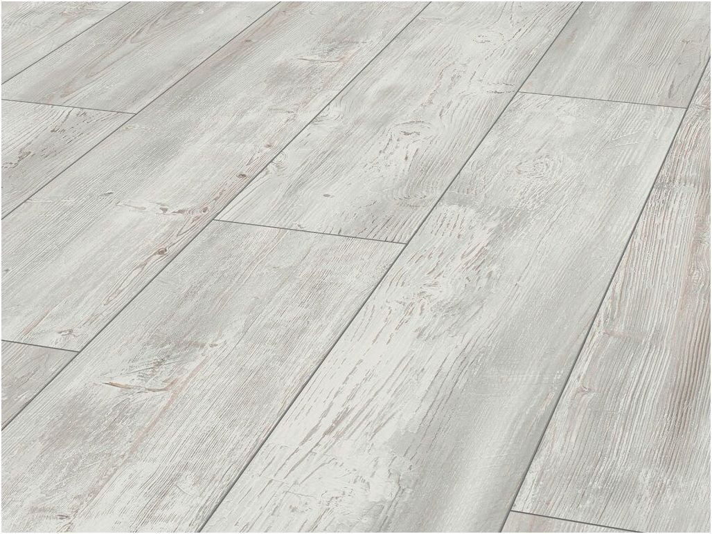 JANGAL Laminat Laminat Jangal 8084 Liuwa günstig online kaufen