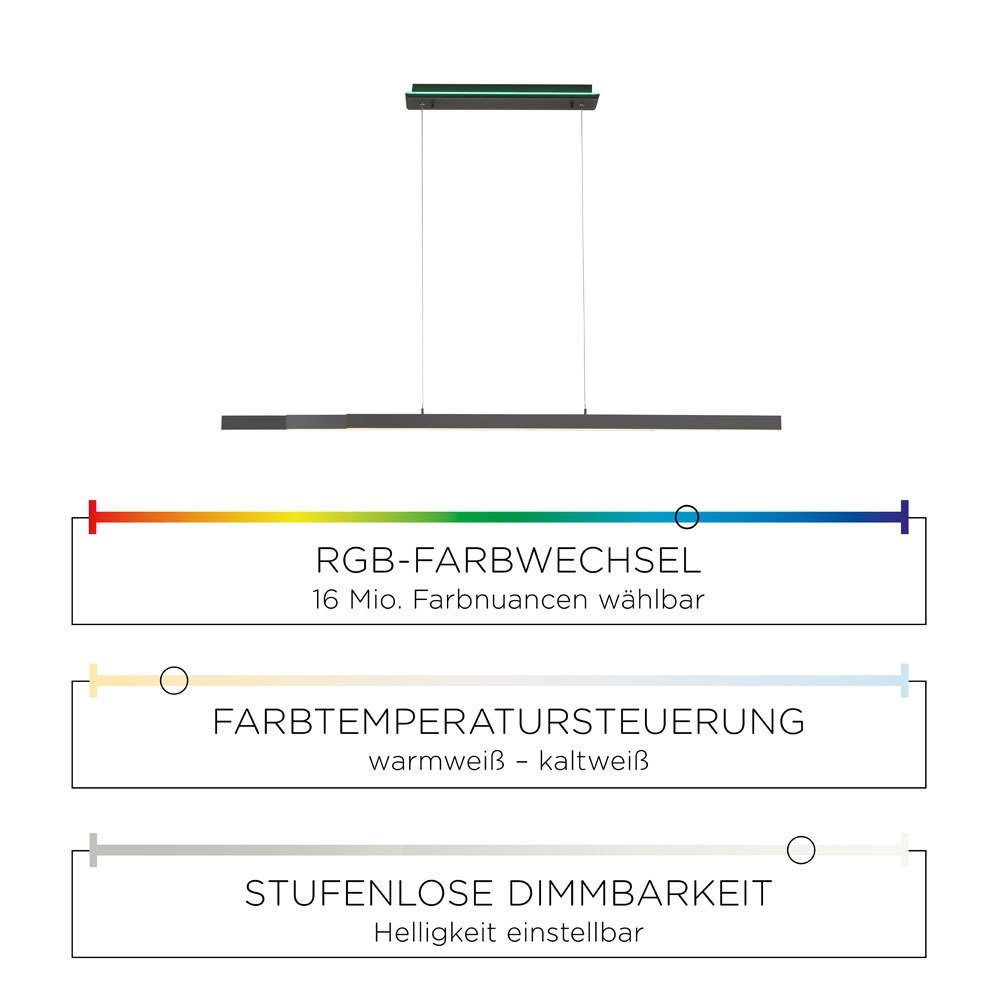 Neuhaus RGB Leuchtmittel, CCT-Farbtemperaturregelung, RGB-Farbwechsel, Pendelleuchte Dimmfunktion, CCT LED-Leuchte Deckenkasten, mit Memoryfunktion, LED mit beleuchtetem Paul Home, Pendellampe Smart Smarte Q-ARIAN,