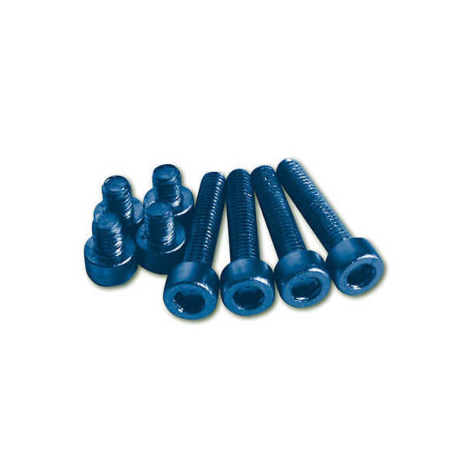 Paaschburg & Wunderlich GmbH Motorradhose Aluschrauben Set M5 blau eloxiert