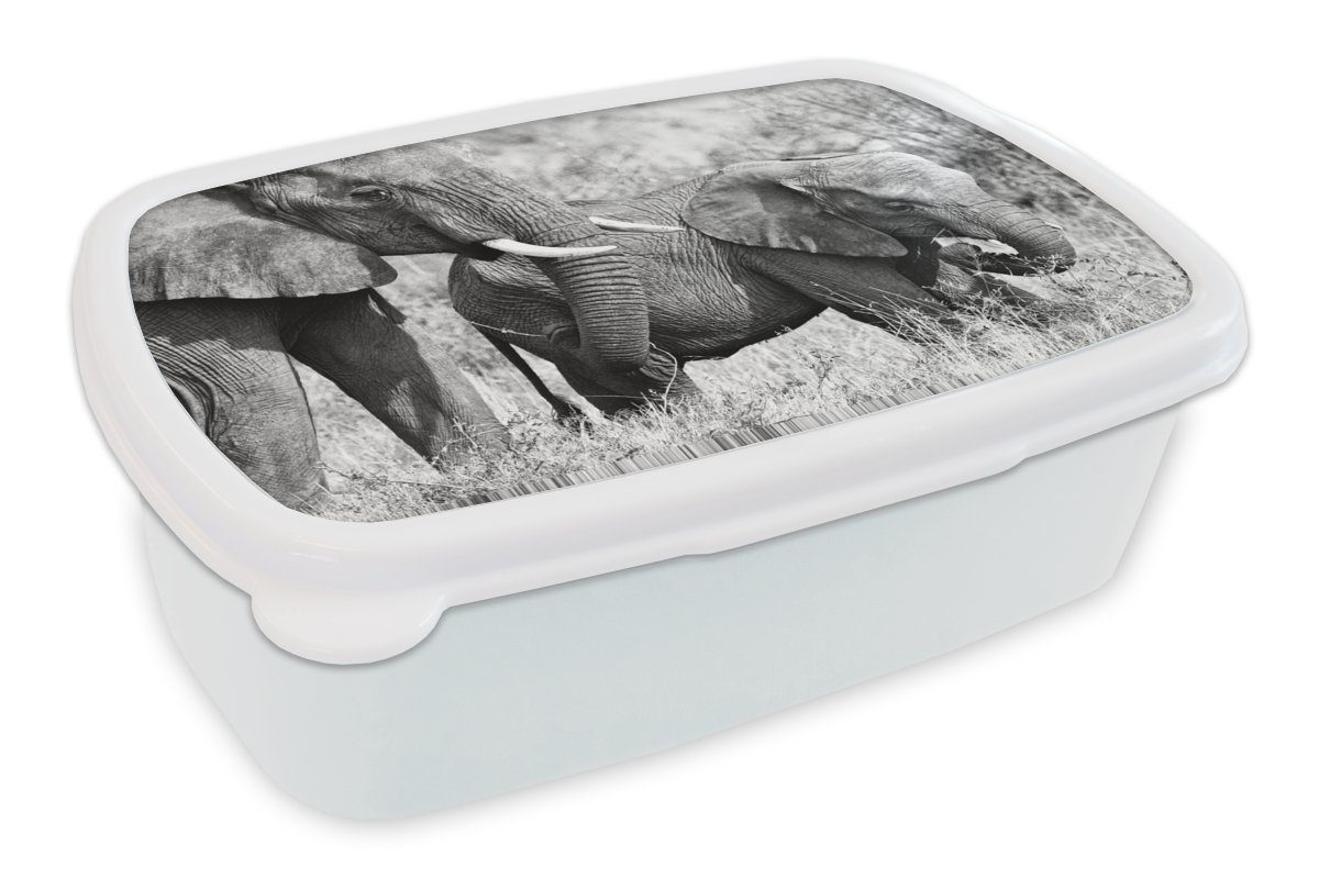 MuchoWow Lunchbox Elefant - Tiere - Gras - Schwarz und weiß, Kunststoff, (2-tlg), Brotbox für Kinder und Erwachsene, Brotdose, für Jungs und Mädchen