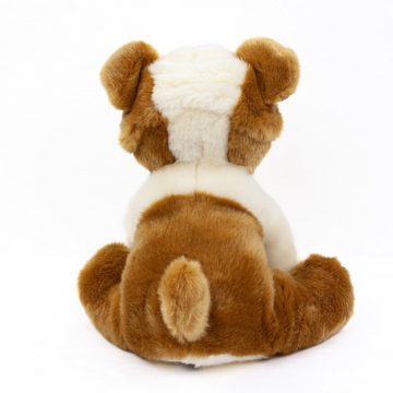 Teddys Rothenburg Kuscheltier Französische Bulldogge 26 cm sitzend braun-weiß Kuscheltier Hund