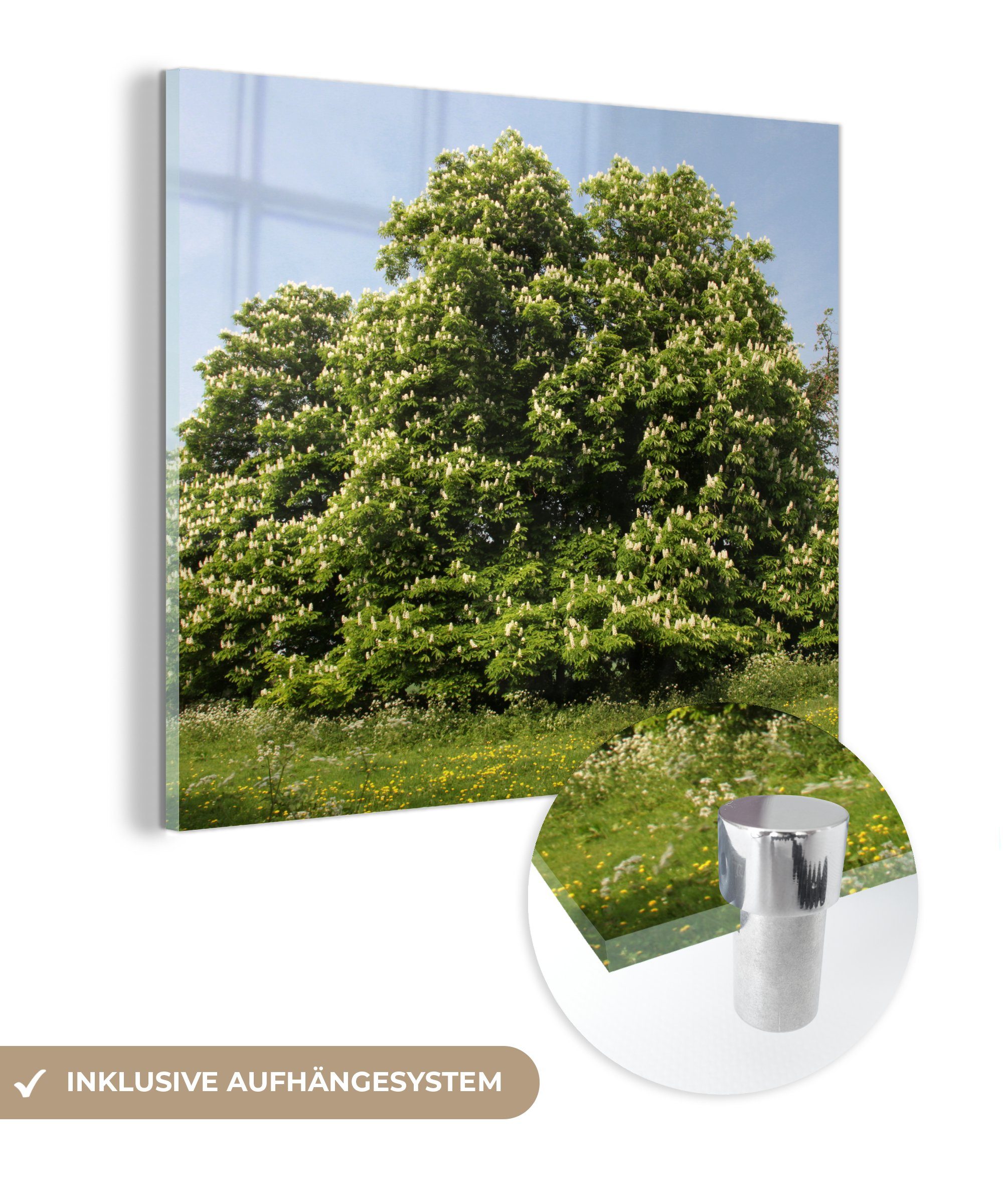 MuchoWow Acrylglasbild Ein - St), Glas auf - - Glasbilder auf Wanddekoration Glas Frühling Wandbild in Bilder England, Kastanienbaum Foto im (1