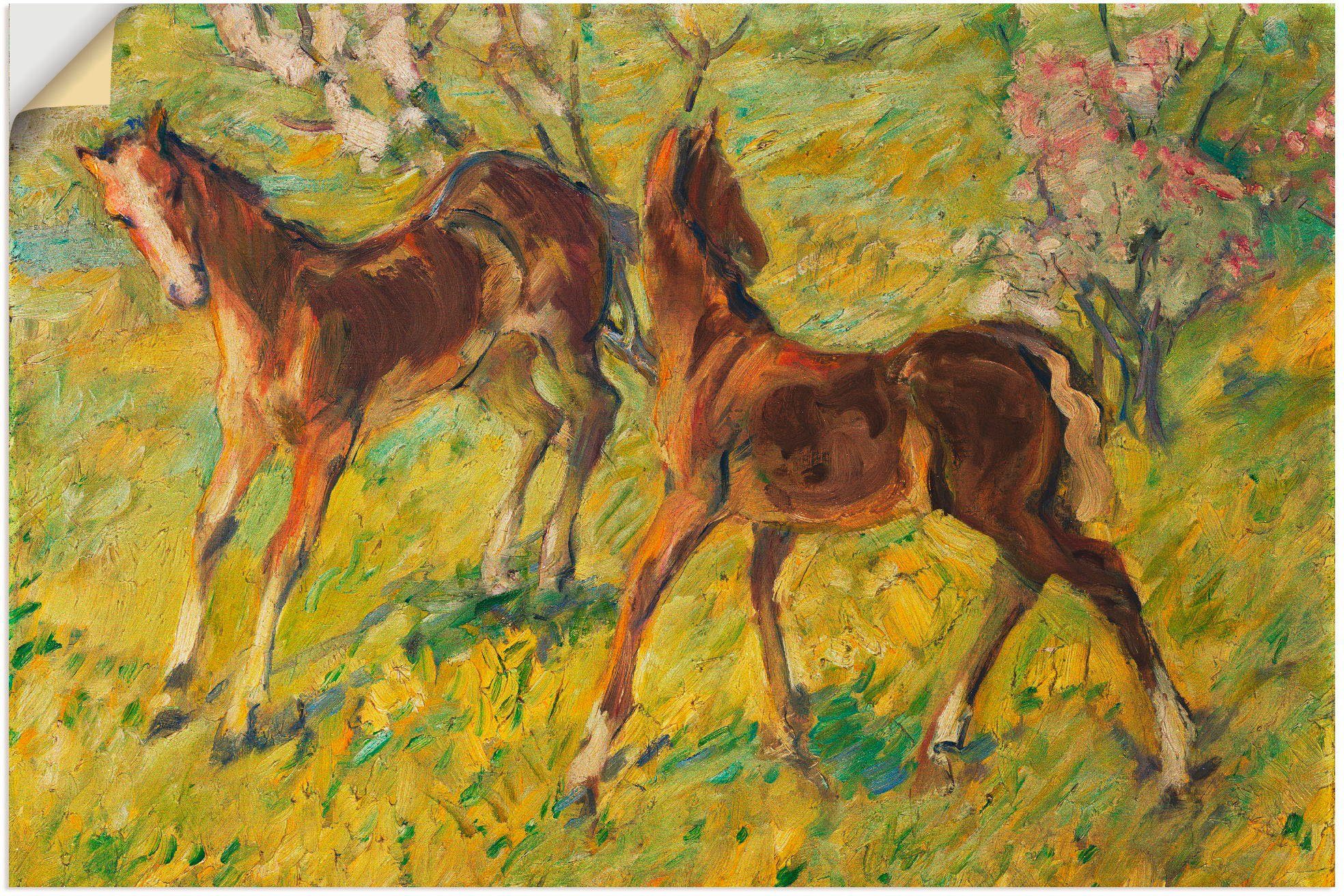 Größen (1 Haustiere Fohlen der Leinwandbild, oder versch. in als Alubild, Artland Weide. 1909, Wandaufkleber St), Poster Wandbild auf