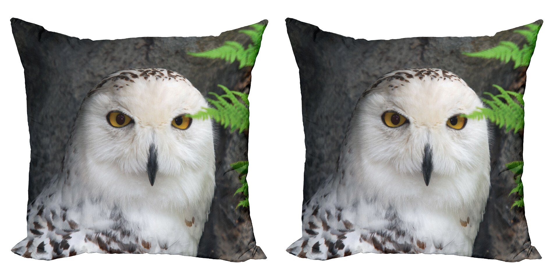 Kissenbezüge Modern Accent Doppelseitiger Digitaldruck, Abakuhaus (2 Stück), Magier Magier Pet White Owl