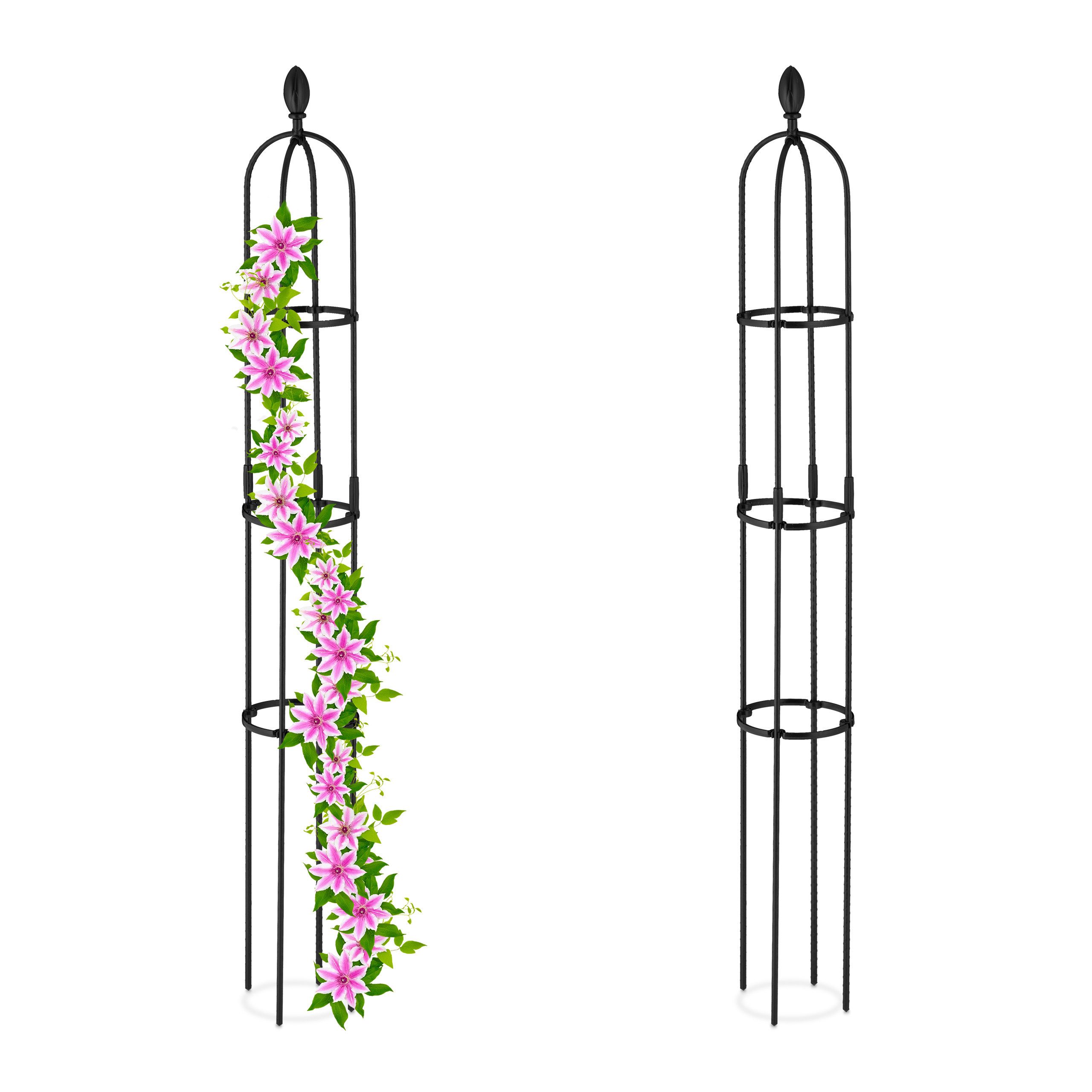 Rankhilfe 160 cm 2er Set