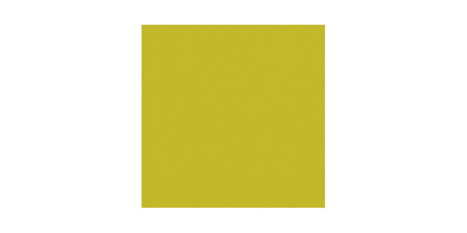 Duni Papierserviette Duni Серветки Bio kiwi 33 x 33 cm - 50er Pack