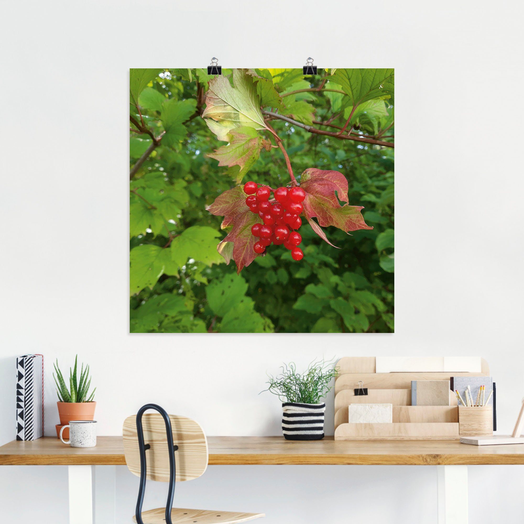als versch. Wandaufkleber Größen Alubild, (1 oder St), in Poster Wandbild Blätterbilder Artland Wildbeeren, Rote Leinwandbild,