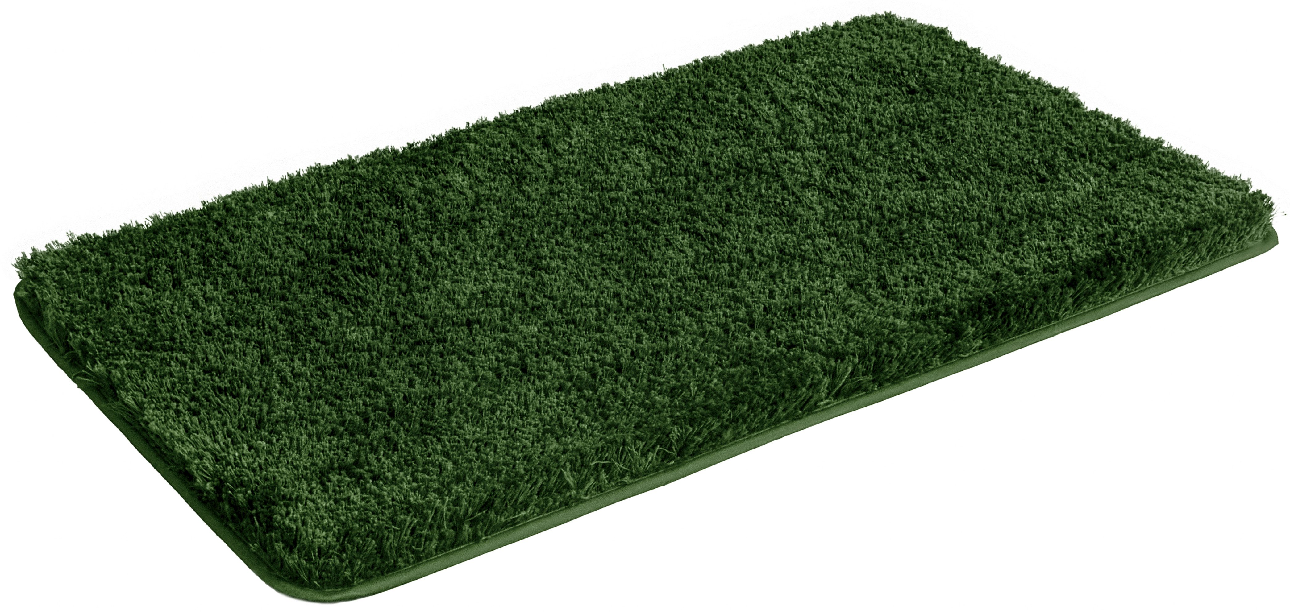 cypress