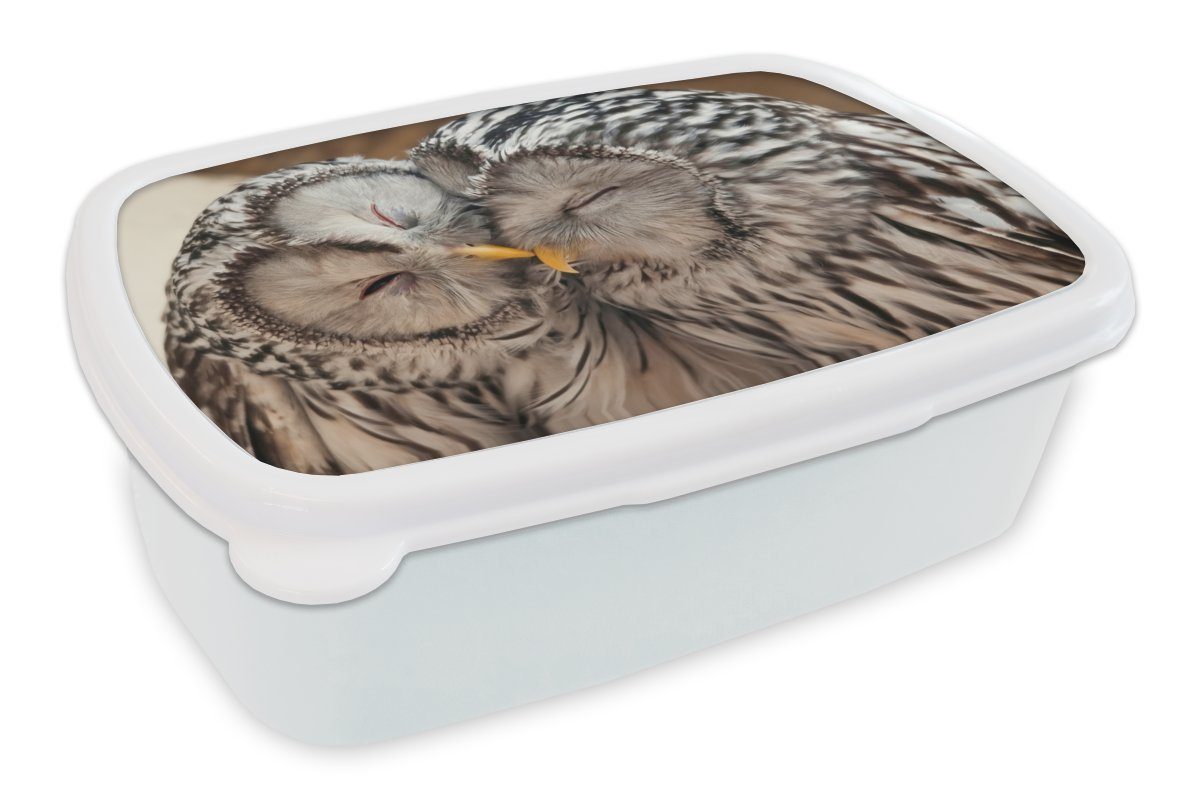 MuchoWow Lunchbox Eulen - Vögel - Schnabel - Familie, Kunststoff, (2-tlg), Brotbox für Kinder und Erwachsene, Brotdose, für Jungs und Mädchen weiß