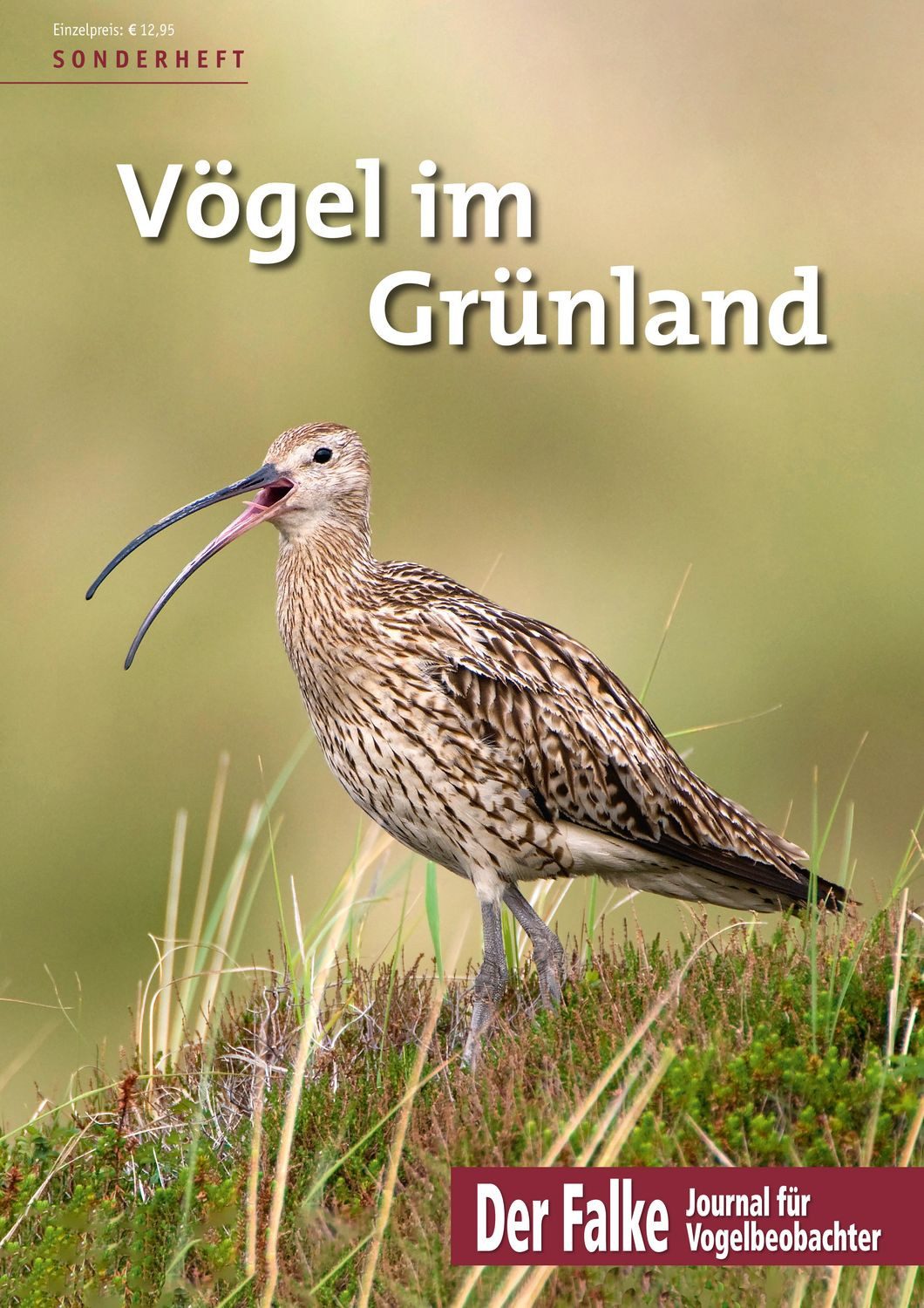 Belletristik Vögel im Grünland diverse