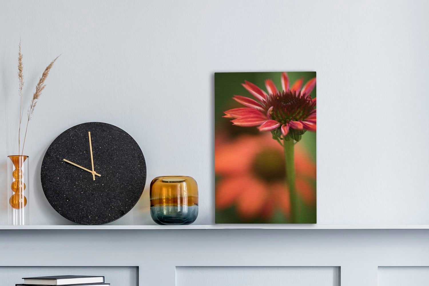 OneMillionCanvasses® Leinwandbild Rote Echinacea-Blüte 20x30 Gemälde, Leinwandbild beim fertig Aufblühen, St), Zackenaufhänger, inkl. (1 bespannt cm