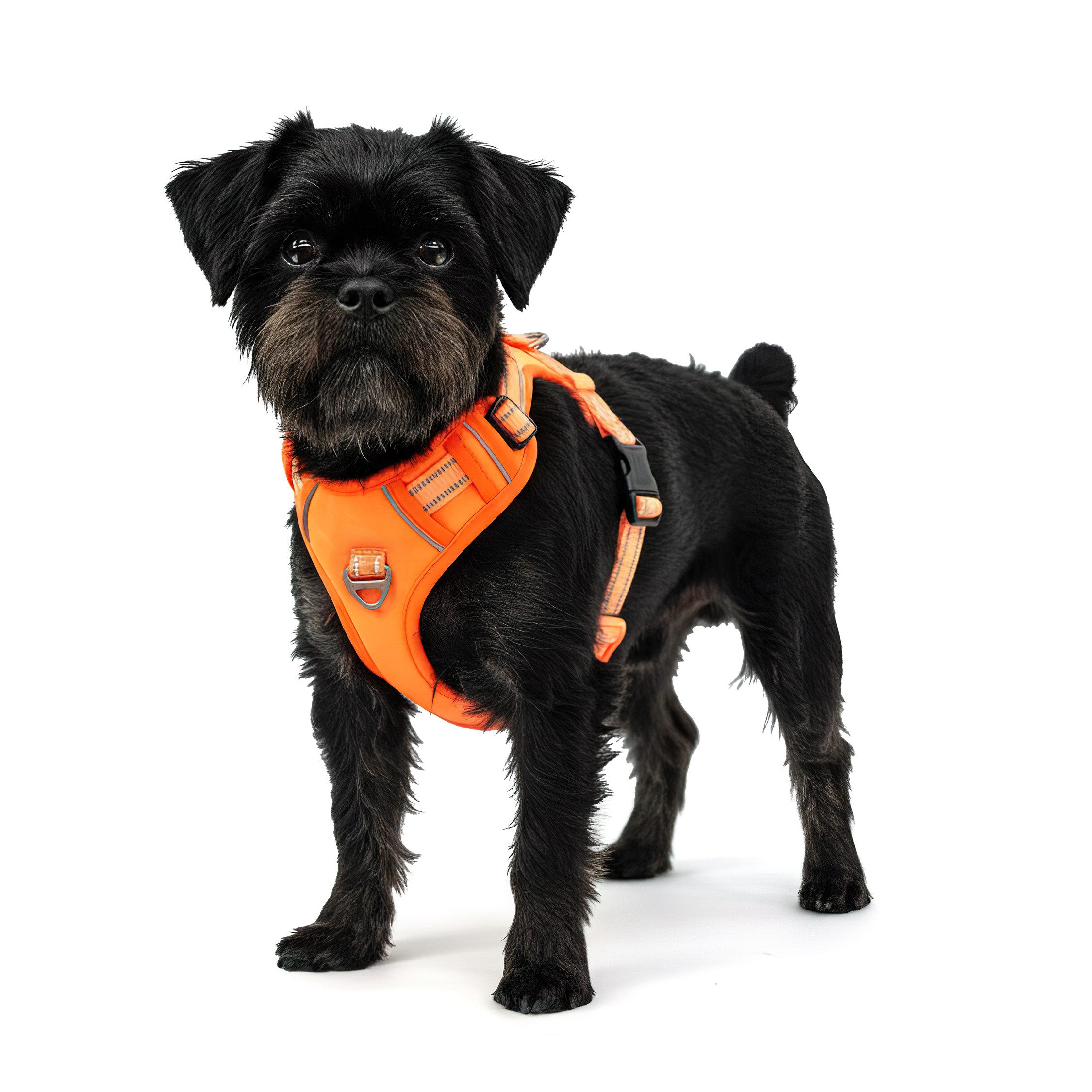 Reichstadt Hunde-Geschirr RS Pets Norwegergeschirr 25RSP083, Polyester, atmungsaktives Netzgewebe und robuster Oxford-Stoff