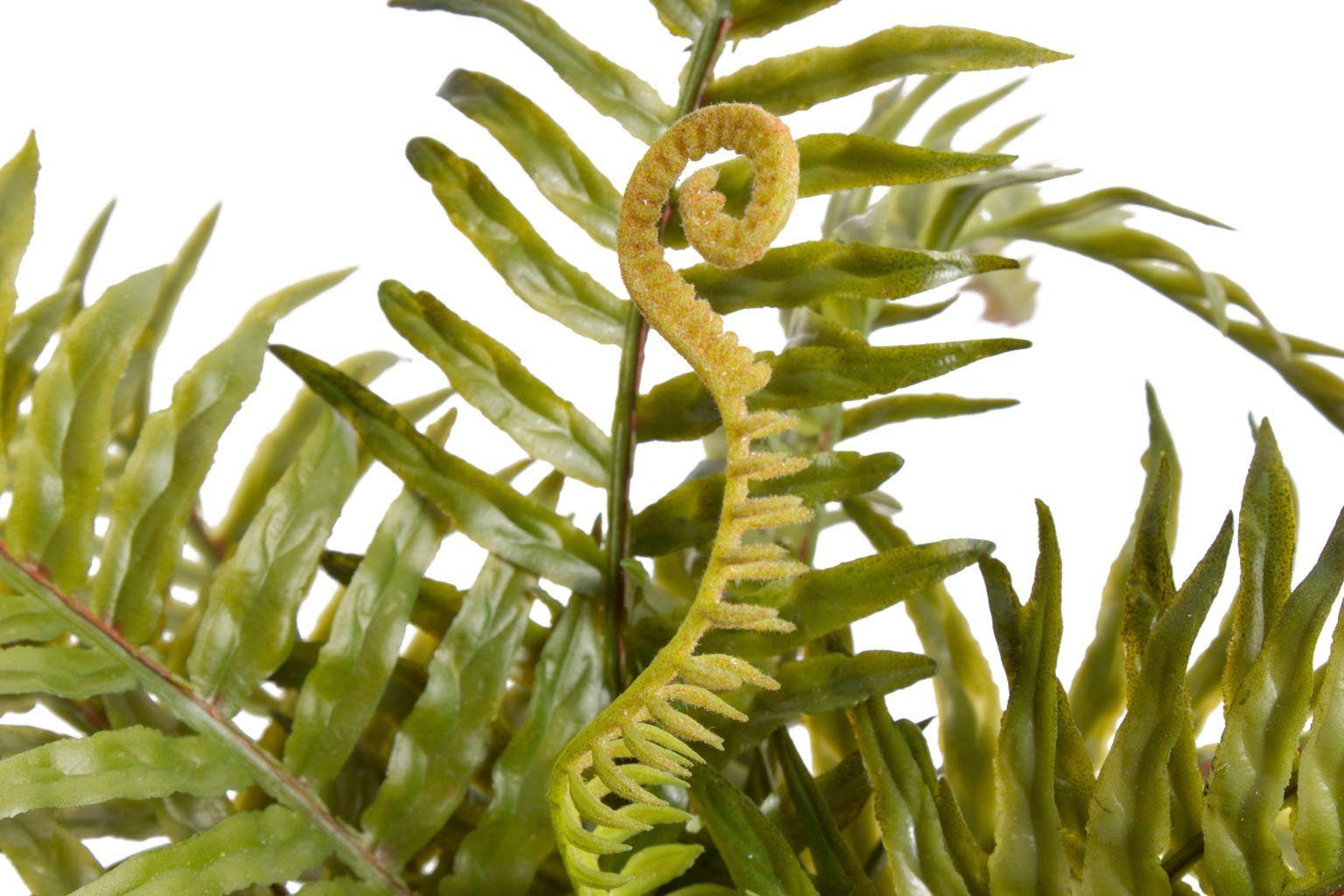 Farn im Botanic-Haus, 24 cm Zementtopf, Höhe Zimmerpflanze Künstliche