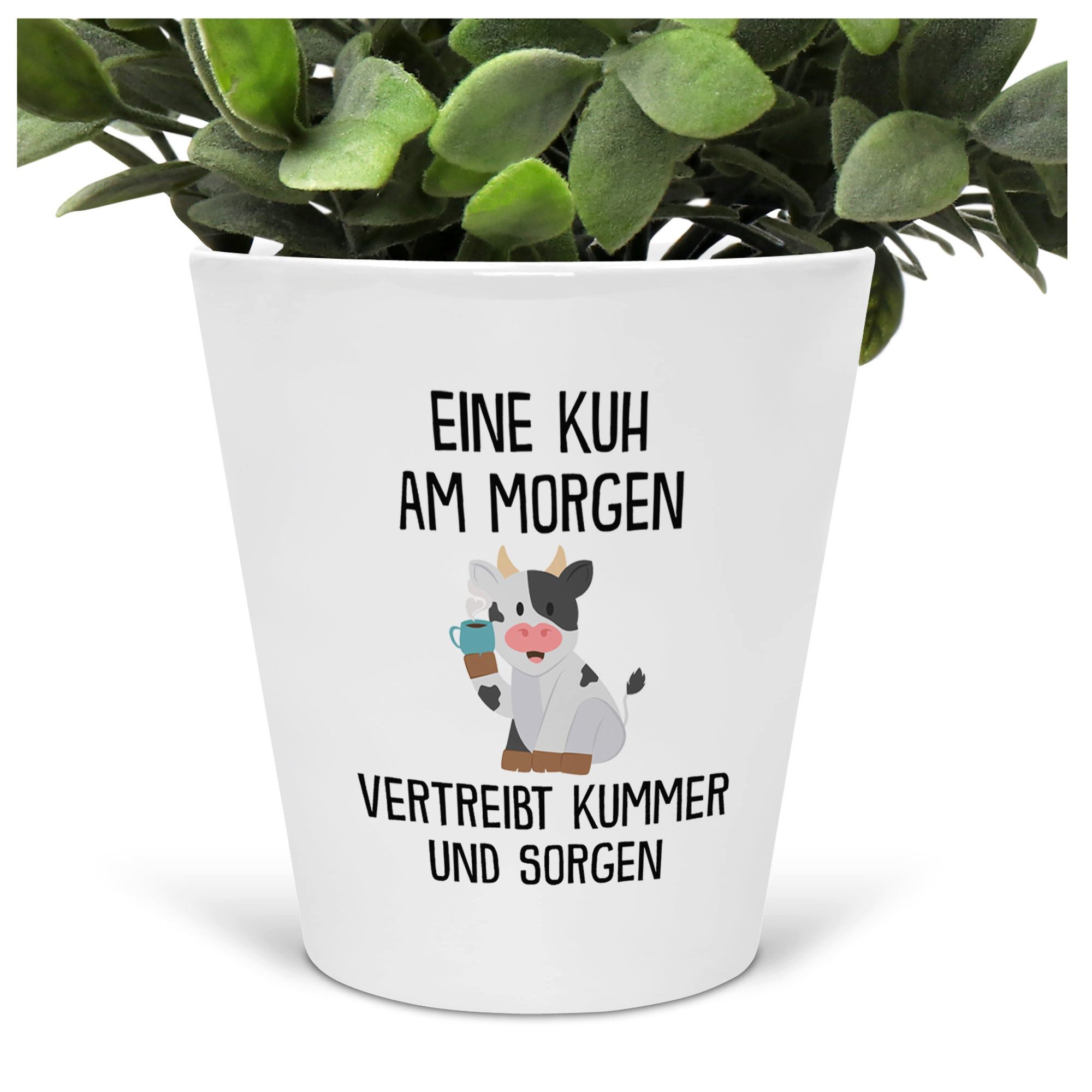 Lustige Blumentpfe online kaufen | OTTO