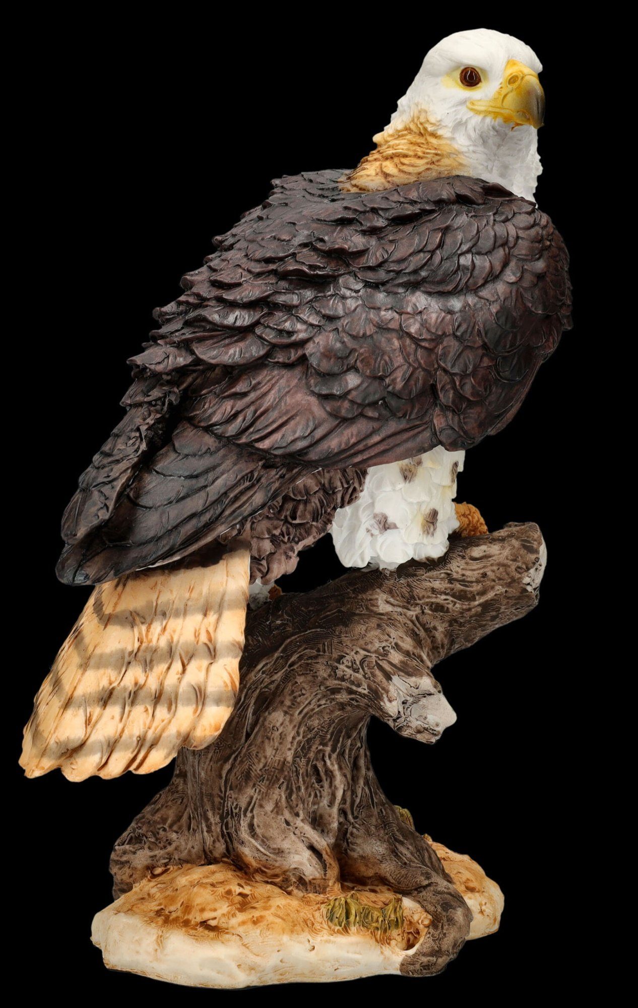 Figuren Tierfigur Adler Jagd Tierfigur - GmbH Dekofigur - Ruhe Dekoration Figur Vogel der vor Shop