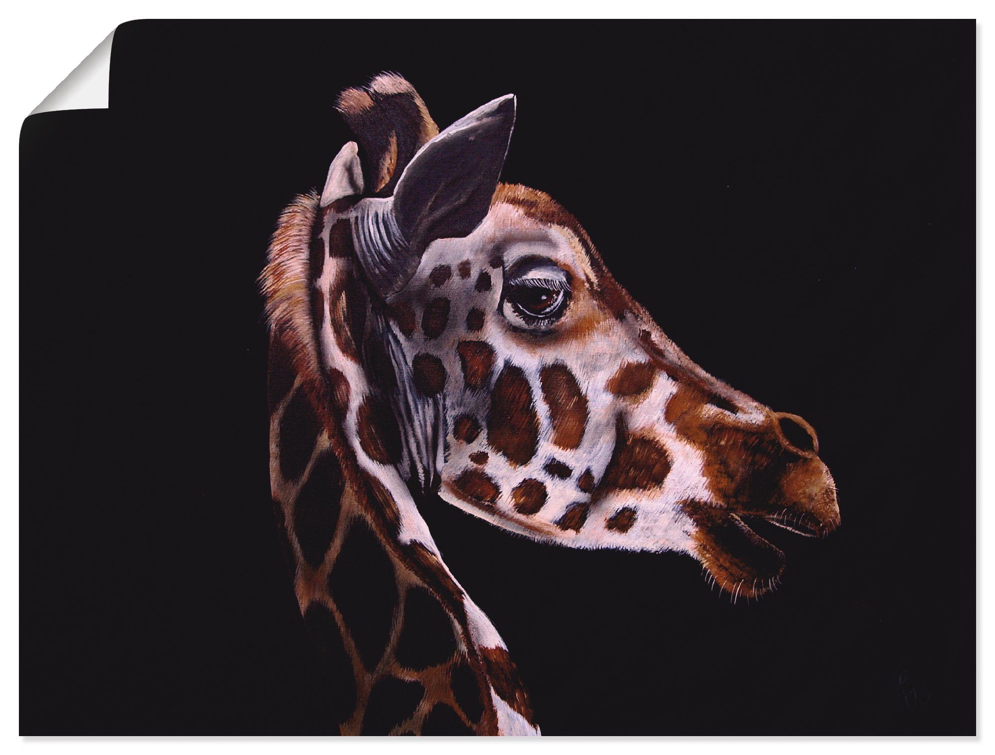 Giraffe, Alubild, als & (1 Größen, Größen Leinwandbild, Verschiedene Artland versch. Wandaufkleber in Produktarten Wandbild Poster oder St), Wildtiere