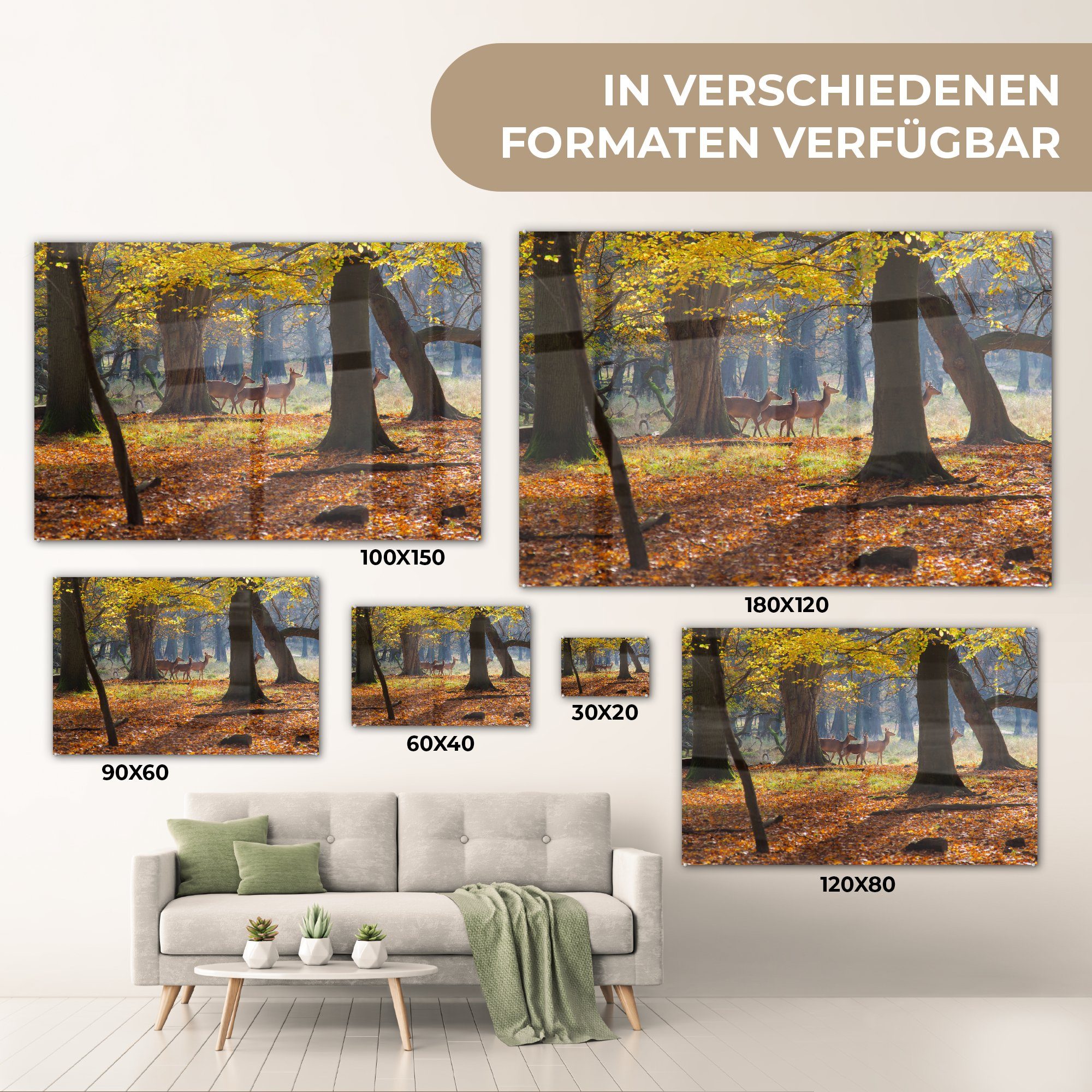 Dänemark, Hirsche in & MuchoWow (1 Wohnzimmer einem Acrylglasbilder in Schlafzimmer Acrylglasbild Wald St),