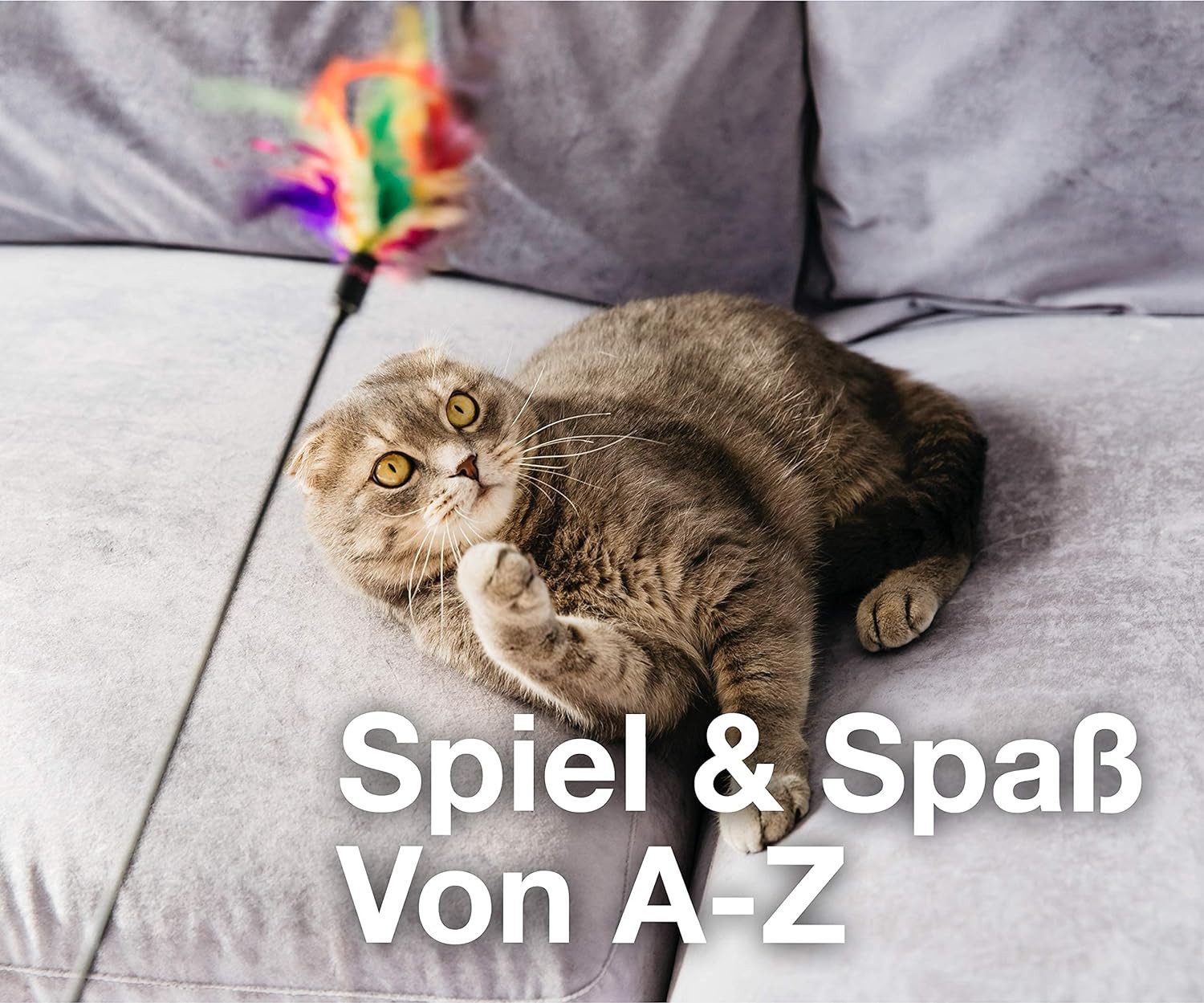 Gartiva® Tier-Beschäftigungsspielzeug 20 TLG Set Katzenspielzeug Spielzeug für div. Katzen Spaß mit Haustier, Schonend für Zähne und Pfoten
