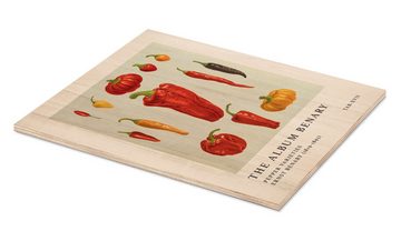 Posterlounge Holzbild Ernst Benary, The Album Benary - Pepper Varieties, Küche Vintage Illustration