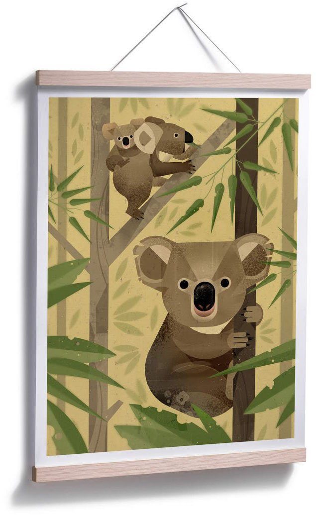 Wandbild, Wall-Art Poster Poster, (1 Tiere St), Koala, Wandposter Bild,